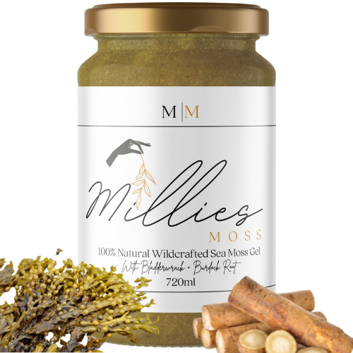 Jar of Millies Moss with sea moss and Bladderwrack and Burdock Root on a white background