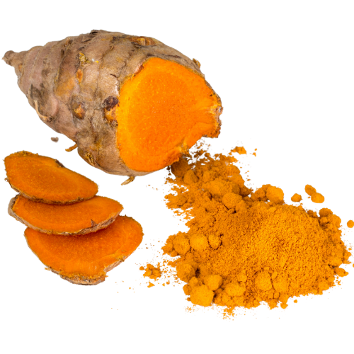 Turmeric root with sliced pieces and powdered form on a white background