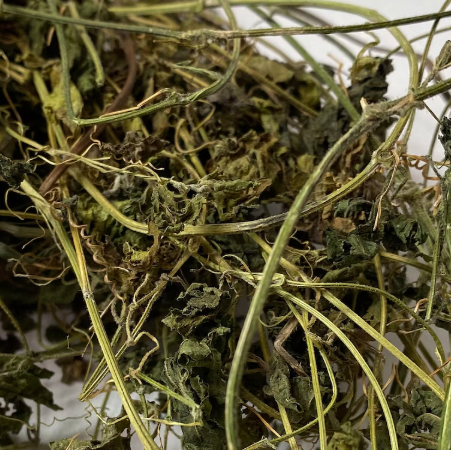 Close-up of dried Jamaican Wildcrafted Cerasee (Bitter Melon, Momordica charantia) leaves and stems.