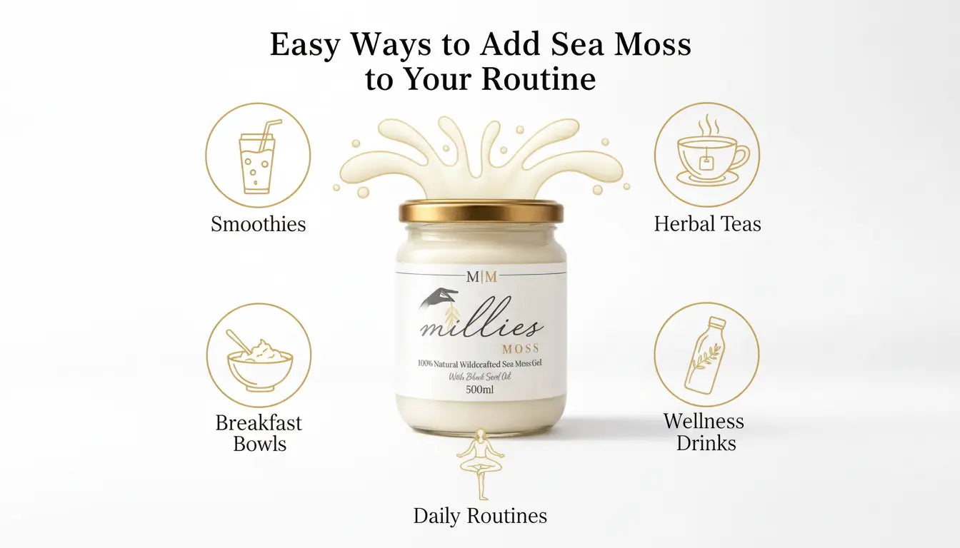 Infographic showing ways to add sea moss gel to daily routine including smoothies herbal teas breakfast bowls wellness drinks and daily routines