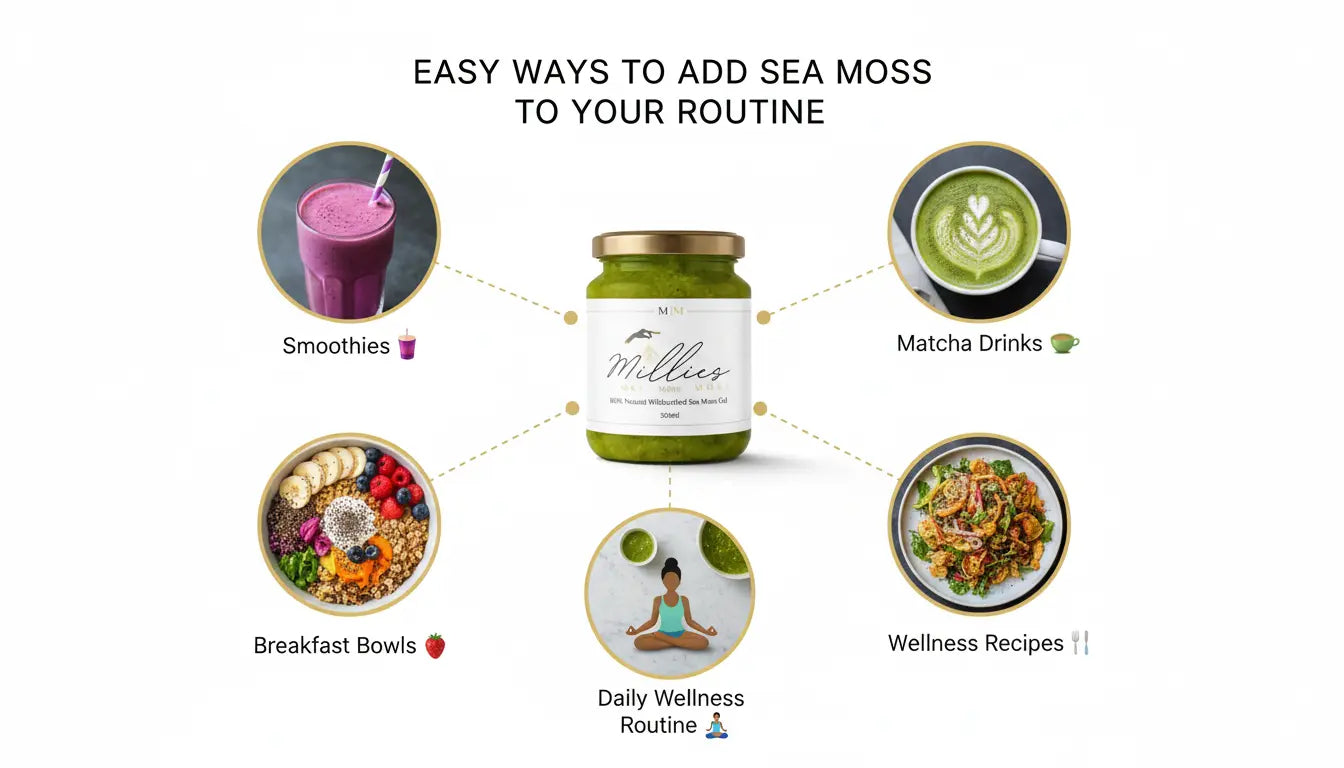 Infographic showing ways to use sea moss gel including smoothies matcha drinks breakfast bowls wellness recipes and daily wellness routine