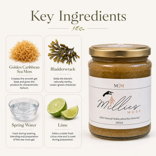 Key Ingredients