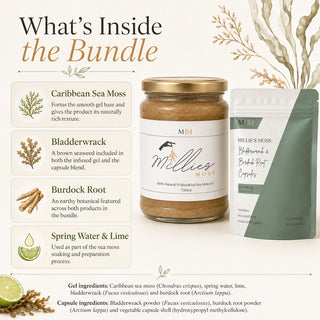 What’s Inside the Bundle