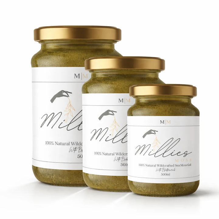 Sea Moss Gel — Bladderwrack