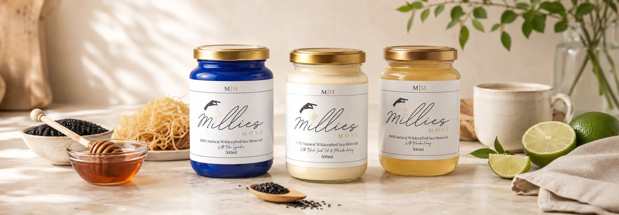 Millie’s Moss sea moss gel jars with raw sea moss, lime, honey, black seeds and natural ingredients on a warm kitchen counter.