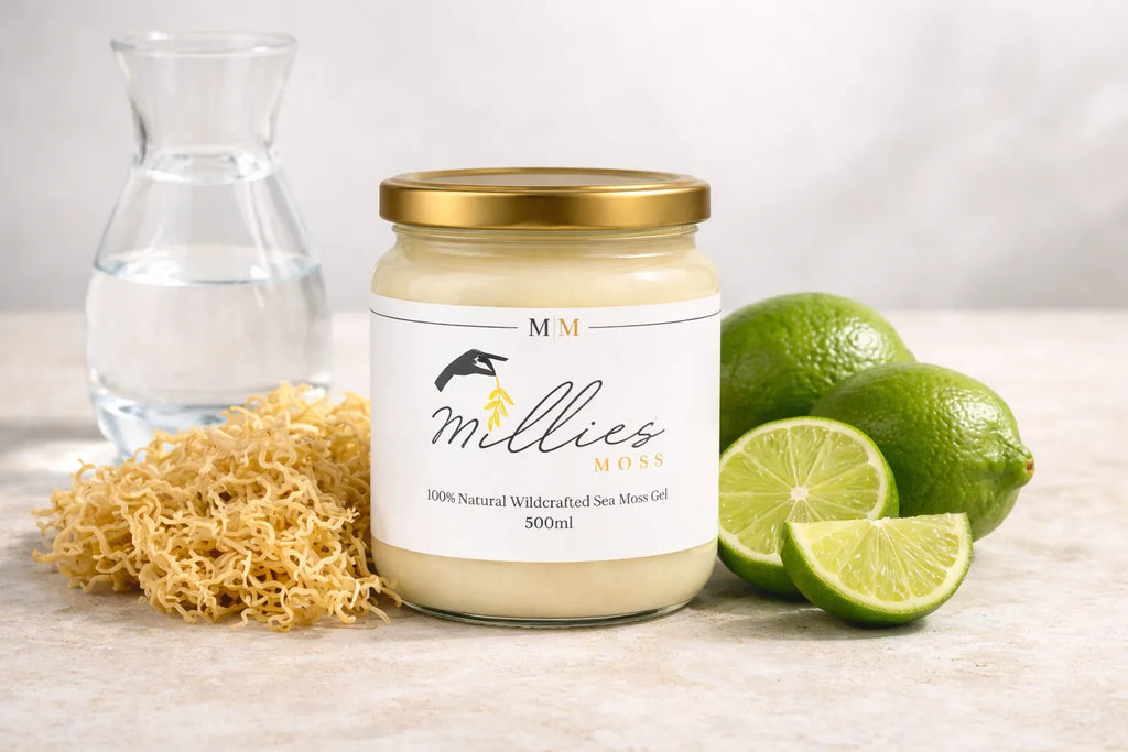 Millies sea moss gel jar with raw sea moss, lime and water