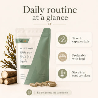 Daily routine at a glance
