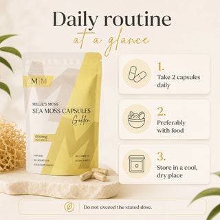 Daily routine at a glance