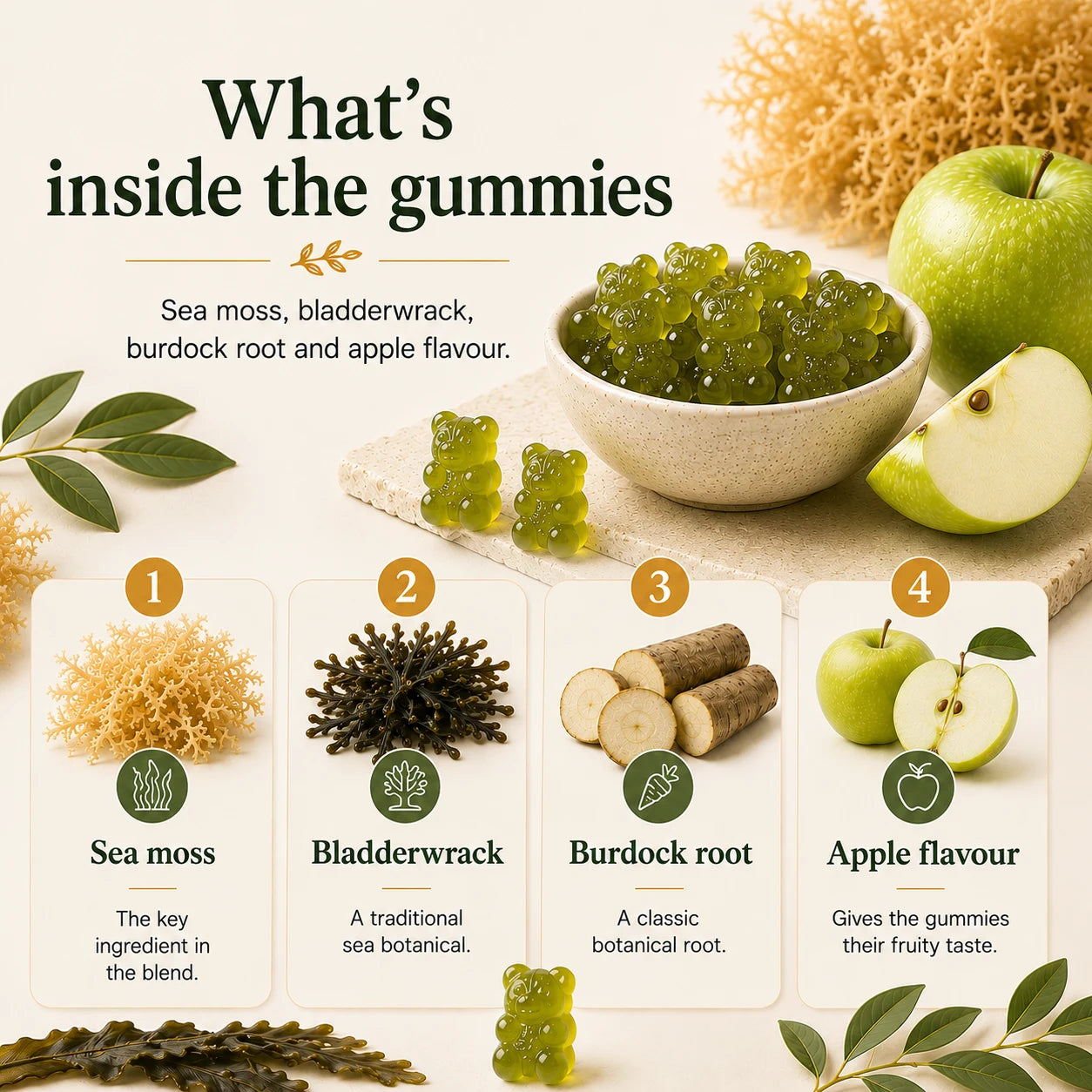 Millie’s Moss Apple Sea Moss Gummies infographic showing sea moss, bladderwrack, burdock root and apple flavour ingredients.