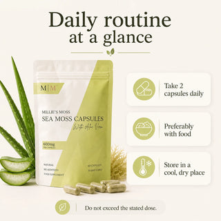 Daily routine at a glance
