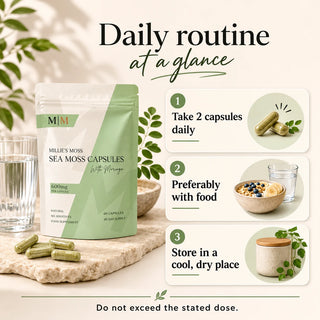 Daily routine at a glance