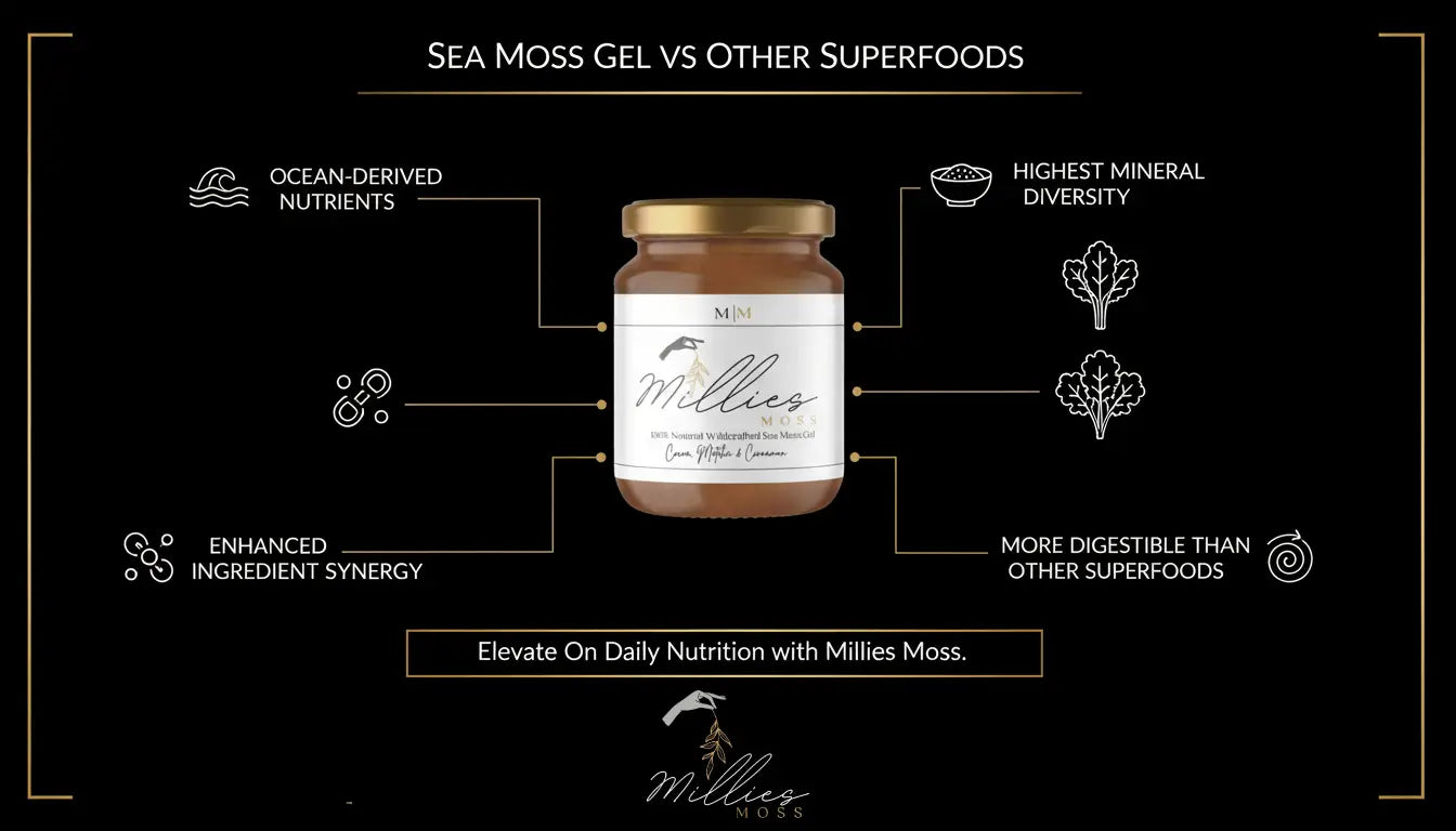 Comparison infographic showing sea moss gel benefits including ocean-derived nutrients mineral diversity and improved digestibility compared to other superfoods