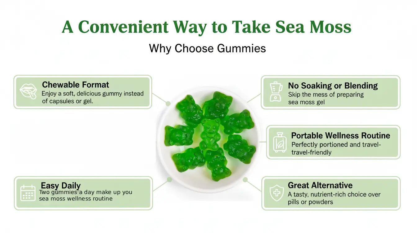 Sea moss gummies supplement infographic showing chewable format easy daily supplement portable wellness routine and no preparation needed