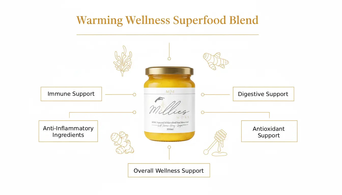 Sea moss gel wellness blend infographic showing immune support, digestive health, antioxidant and anti inflammatory benefits