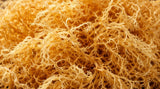 Sea moss