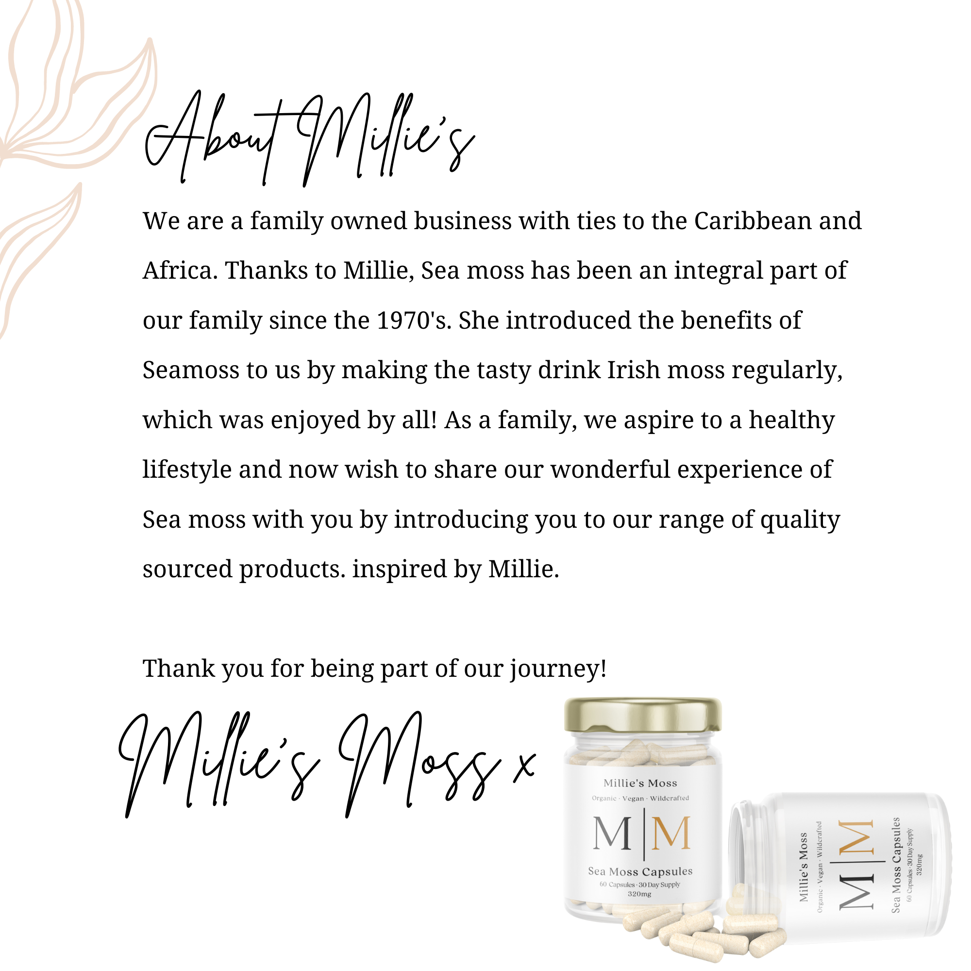 Post introducing the business Millie's to customers