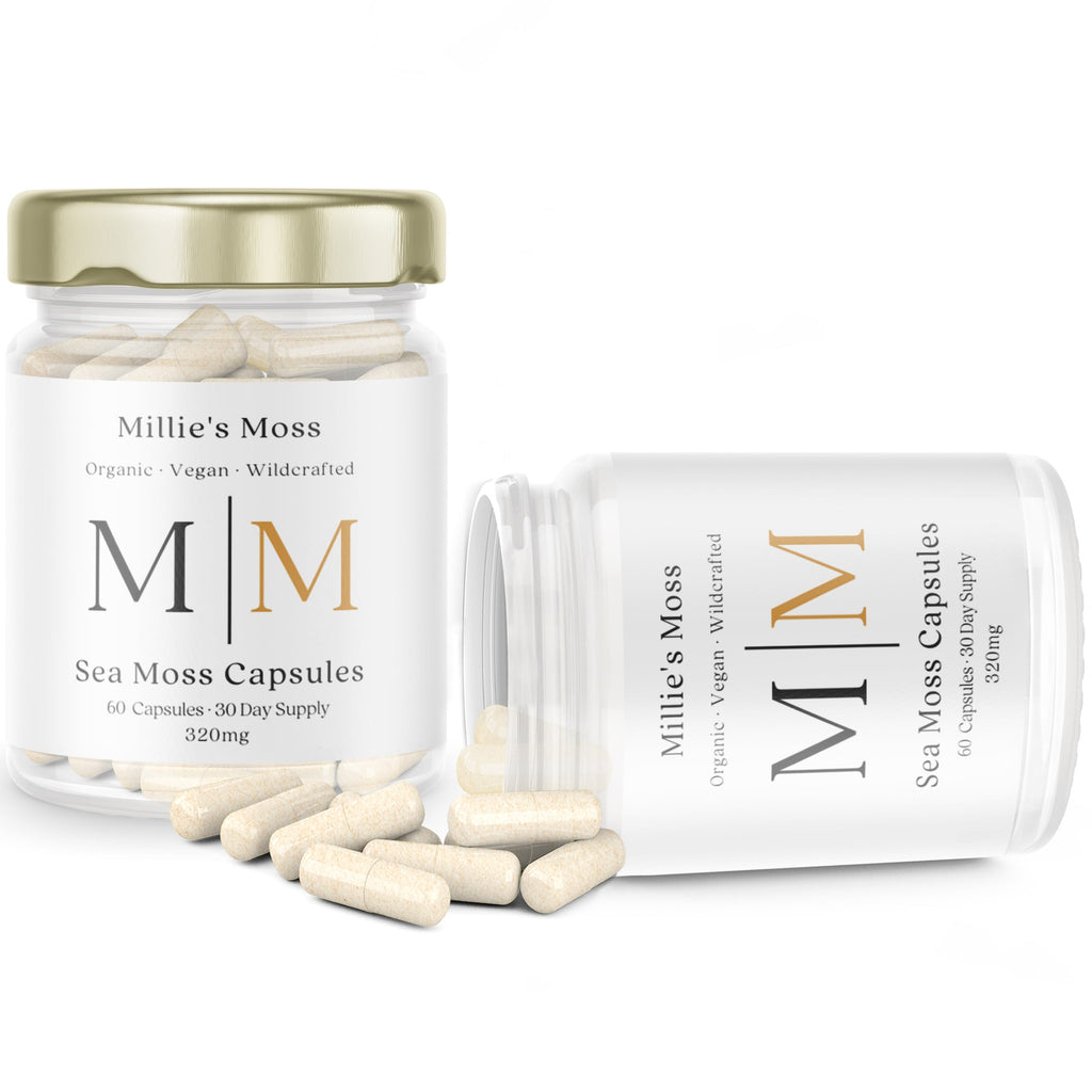 Glass jars of Golden Sea Moss Capsules with capsules spread out on a white background